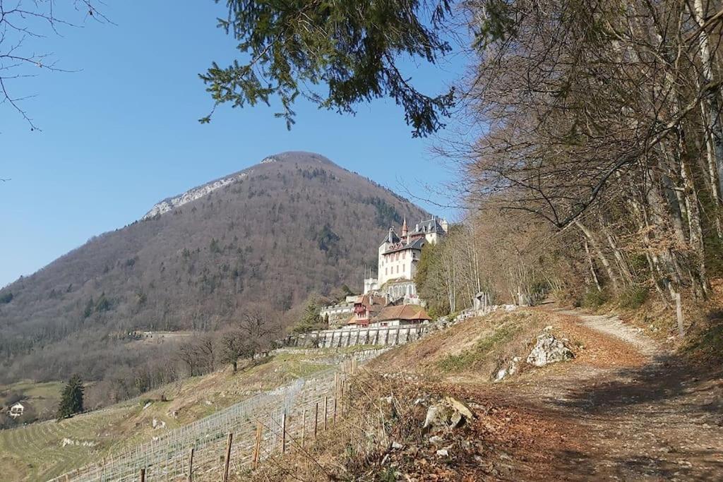 Charmant Appartement Lac D'Annecy / Ski - 6 Pers Menthon-Saint-Bernard Esterno foto